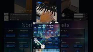 Free Trumpet sample library for NI Kontakt. Brass VST, wav #vgtrumpet #kontakt #recordingstudio #vst