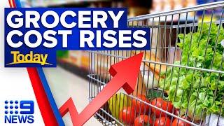 Grocery costs to rise as supermarket price freeze ends | 9 News Australia