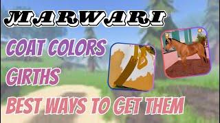 Showcasing Girths, The BEST Ways to Get Marwari, & Marwari Coat Colors! | Wild Horse Islands