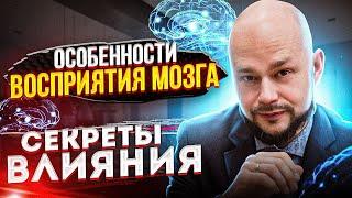 Особенности восприятия мозга | Секреты влияния