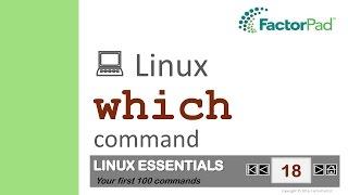 Linux which command summary with examples