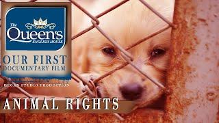 animal rights