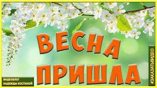 Весна Первый день весны | Красивое видеопоздравление с первым днем весны