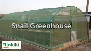 How to construct a Snail Greenhouse || Snail housing Ep1.