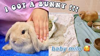 I GOT A BUNNY VLOG!!! *Come with me to get my holland lop baby*