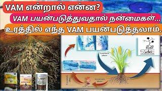 உரச் செலவை குறைத்து மகசூலை அதிகரிக்க வேண்டுமா? vam போடவும்...