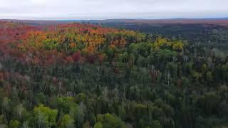 Lutsen, Minnesota Fall Colors • DJI Mavic Air 2 Drone Cinematic