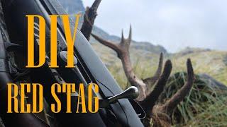 Self filmed Backpack Red stag hunt in New Zealand