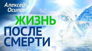 Как живёт душа ПОСЛЕ СМЕРТИ ? — Осипов А.И.