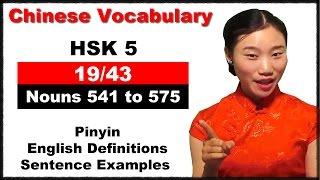 HSK 5 Course - Complete Chinese Vocabulary Course - HSK 5 Full Course / Nouns 541 to 575 (19/43)