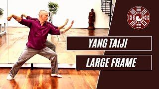 Yang Taiji - Large Frame