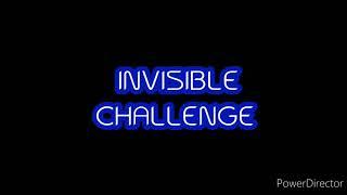 TIKTOK INVISIBLE CHALLENGE MY VERSION!.. FAILED!..