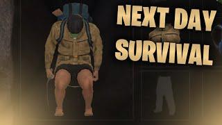 СУРОВОЕ ИНДИ ВЫЖИВАНИЕ | Next Day: Survival | Обзор
