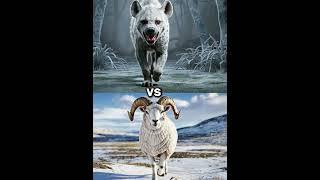 Hyena vs White Animals (Lion, Tiger, Wolf)