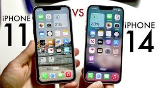 iPhone 14 Vs iPhone 11 In 2023! (Comparison) (Review)