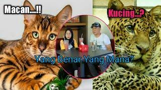 DAGELAN VIRAL LUCU//Mix DEDI SUGESTY