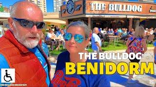 THE BULLDOG BENIDORM #benidorm #sobenidorm #benidormteespera #benidorm2025 #visitbenidorm #sobeni