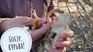 We rustle along the spring river, collect ticks, look for beavers and adventures