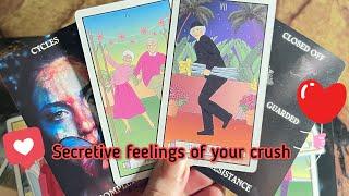 Secretive feelings of your crush ️‍ Crush current feelings | Hindi tarot card reading