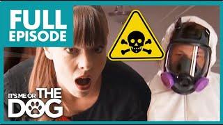 Victoria in SHOCK as Disgusting Dogs Infest House! | Full Episode USA