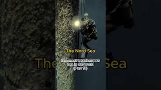 North Sea Escapade: The Wave Chronicles  #ocean #sea #mystery #explore #adventure #shorts