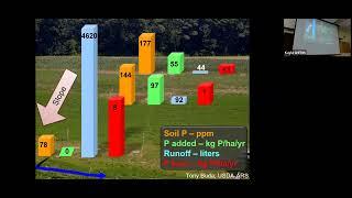 Phosphorus Risk Assessment and Current Management Tools: Fundamentals of Nutrient Management 2024