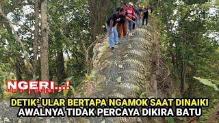 ngeri.! detik² ular bertapa bergerak hidup saat dinaiki AWALNYA DIKIRA BATU