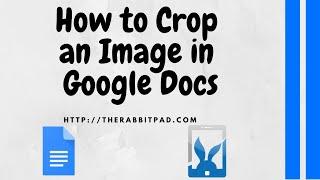 How to Crop an Image in Google Docs