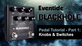 Eventide Blackhole Pedal Tutorial - Part 1: Knobs & Switches