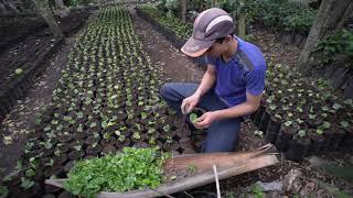 The eco.business Fund in Latin America