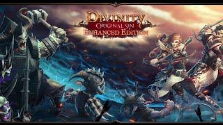 Divinity: Original Sin - Enhanced Edition