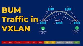 BUM Traffic Handling in VXLAN | VXLAN Concept Video-6 | VXLAN with BGP EVPN