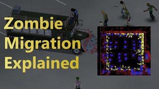 Zombie Migration Explained | Project Zomboid