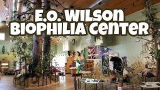 Exploring E.O. Wilson Biophilia Center , Part 1