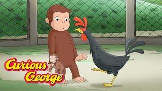 George and the Farm Animals  Curious George  Kids Cartoon  Kids Movies