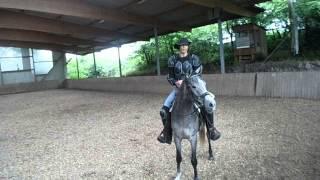 Breaking A Horse Properly With Alvin R Boudy Jr (part 12)