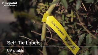 Self Tie Loop Lock Labels for Horticulture | Thermal Printer Labels