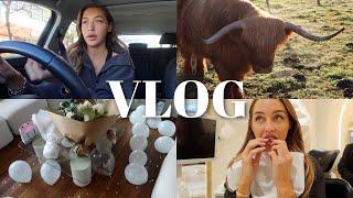 VLOG | Getting Invisalign, My Birthday, Work with One Mile