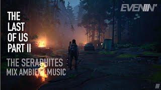 THE LAST OF US Part II  | Mix Ambient Music with Ellie