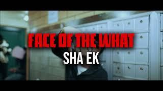 Sha Ek - Face Of The What [Instrumental] (Reprod.Zer0)