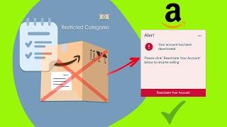 How to Appeal an Amazon Seller Account Suspension Due to Restricted Products (Section 3)