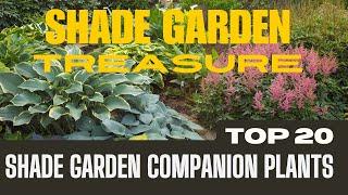 20 BEST Shade Garden Companion Plants | Perennials For Shade Areas | Best Plants Under The Tree Area