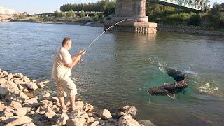 Pecanje soma na reci Savi u Sloveniji kod Brezica | Fishing catfish in Slovenia FULL VIDEO