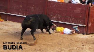 UFF!! ENCIERRO CON DOS TOROS POR LAS CALLES // BUDIA 2023