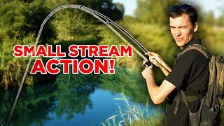 Fishing With Worms on a Small Stream - multi species dropshotting