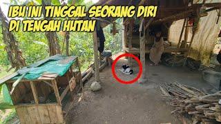 WOW !! WANITA TUA HIDUP DI TENGAH HUTAN BERSAMA ANJING