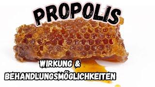 Propolis - Wirkung und ganzheitliche Behandlungsmöglichkeiten