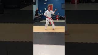 Kata Demonstration: Ananku Manji Sai–Matsumura Seito