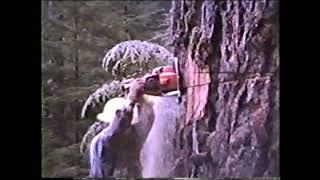 Logging in the PNW c  1985 Part 1   Cutting Big Wood