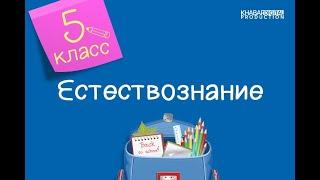 Естествознание. 5 класс. Круговорот веществ в природе. Горообразование. Выветривание /12.01.2021/